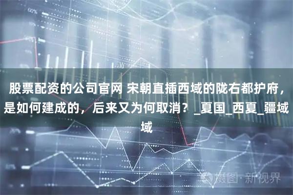 股票配资的公司官网 宋朝直插西域的陇右都护府，是如何建成的，后来又为何取消？_夏国_西夏_疆域