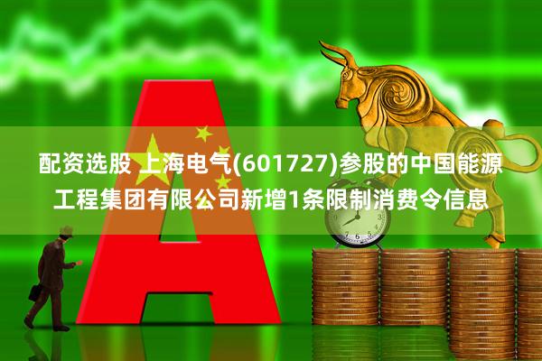 配资选股 上海电气(601727)参股的中国能源工程集团有限公司新增1条限制消费令信息