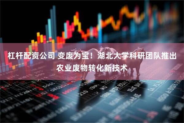 杠杆配资公司 变废为宝！湖北大学科研团队推出农业废物转化新技术